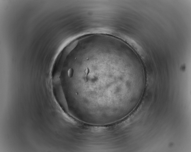 X0000101091184200807031719