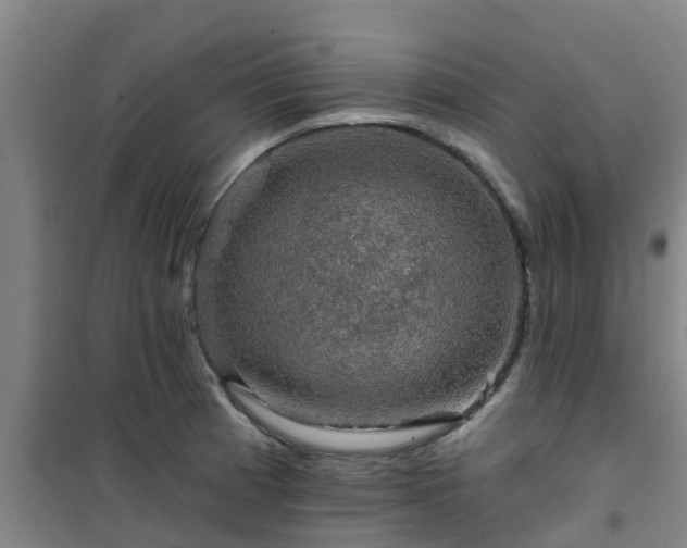 X0000101091185200807031719