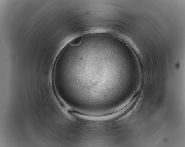 X0000101091186200807031719