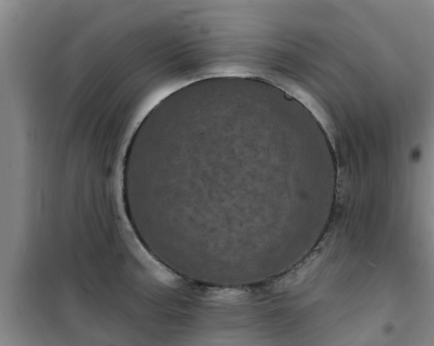 X0000101091187200807031719