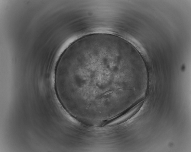 X0000101091188200807031719