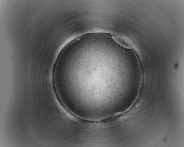 X0000101091189200807031719