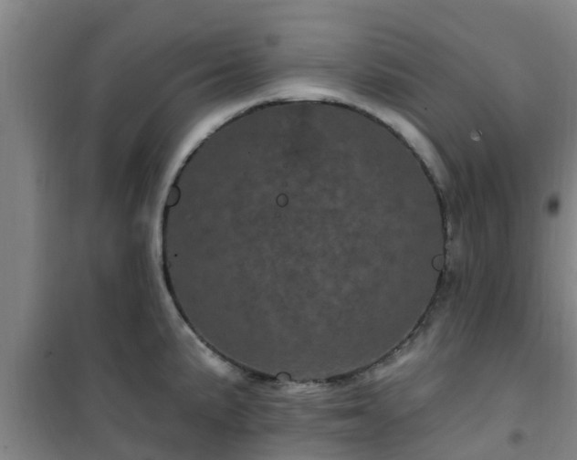 X0000101091191200807031719