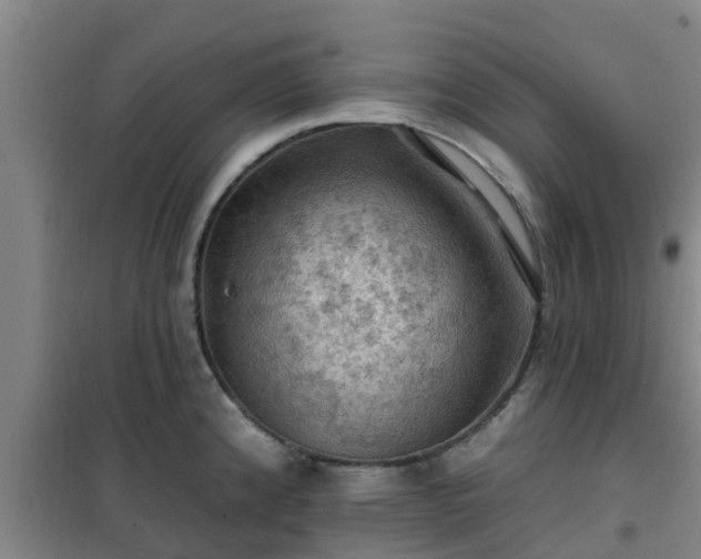 X0000101091192200807031719