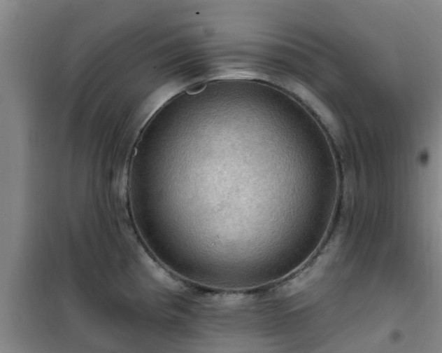 X0000101091193200807031719