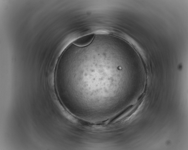 X0000101091194200807031719