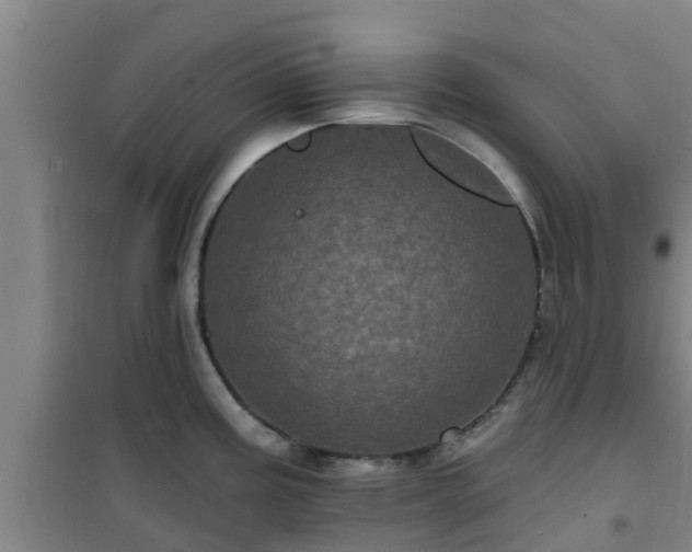 X0000101091195200807031719