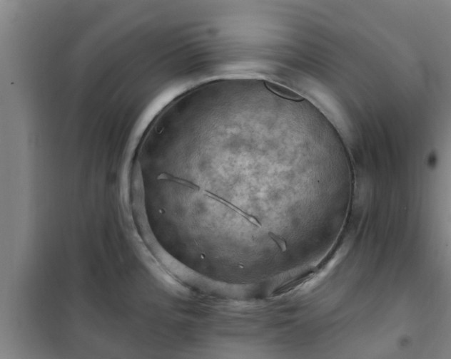 X0000101091196200807031719