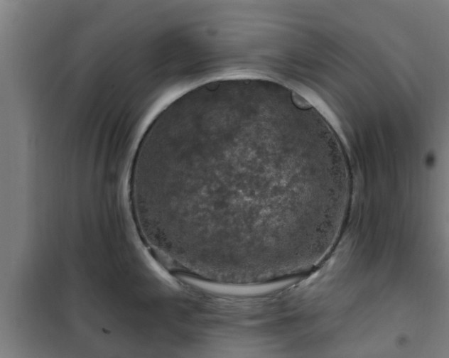 X0000101091197200807031719