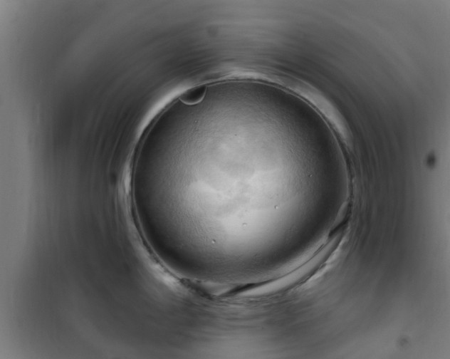 X0000101091198200807031719