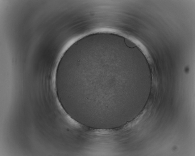 X0000101091199200807031719