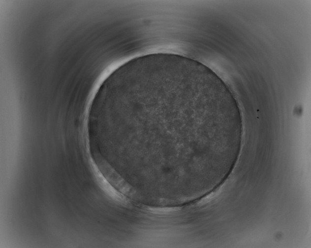 X0000101091200200807031719