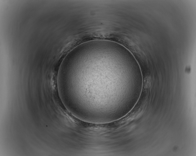 X0000101091202200807031718