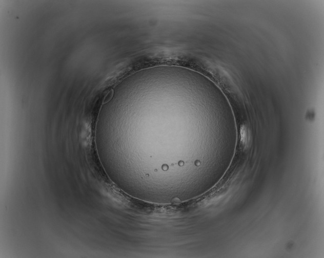 X0000101091203200807031718