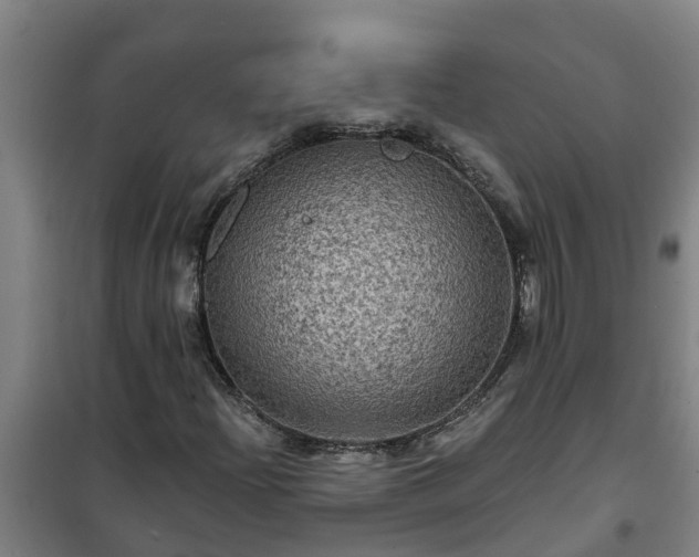 X0000101091204200807031718