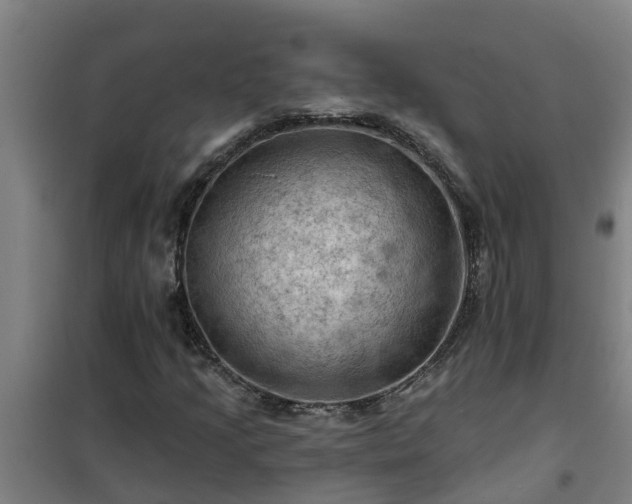 X0000101091205200807031718