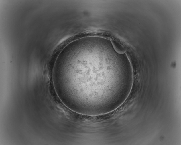 X0000101091206200807031718