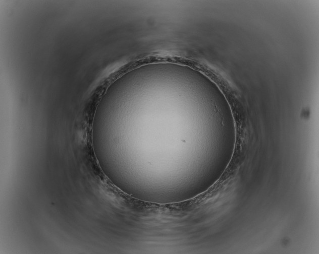 X0000101091207200807031718