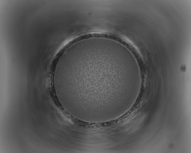 X0000101091208200807031718