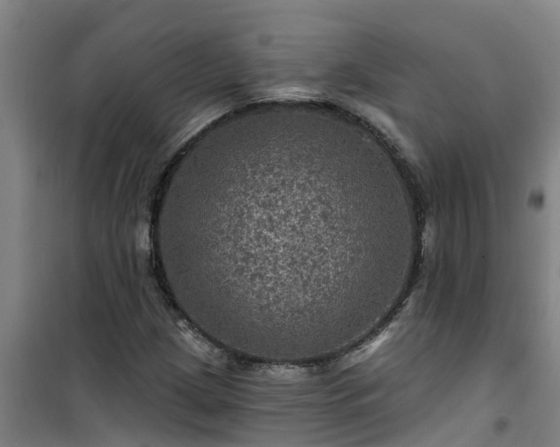 X0000101091209200807031718