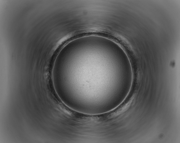 X0000101091210200807031718