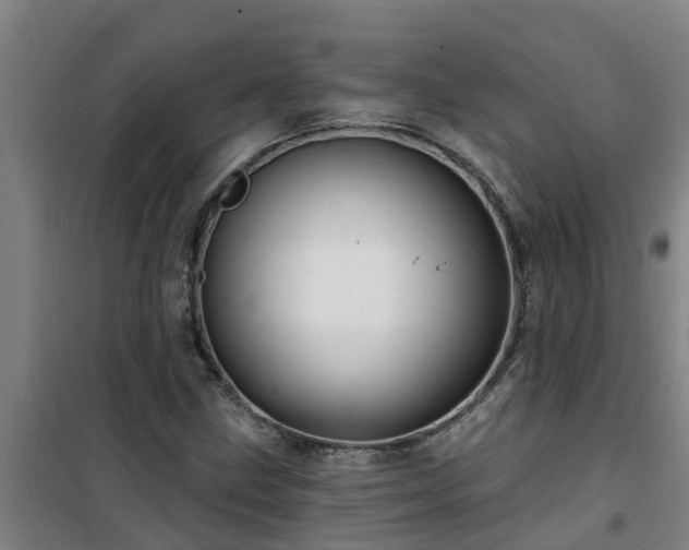 X0000101091211200807031718