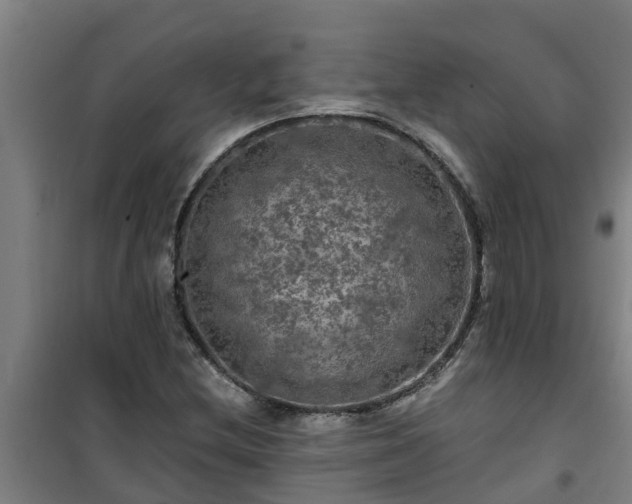 X0000101091212200807031718