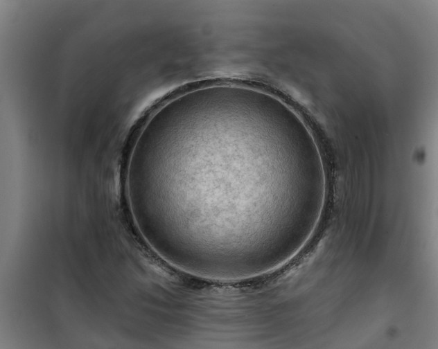 X0000101091214200807031718