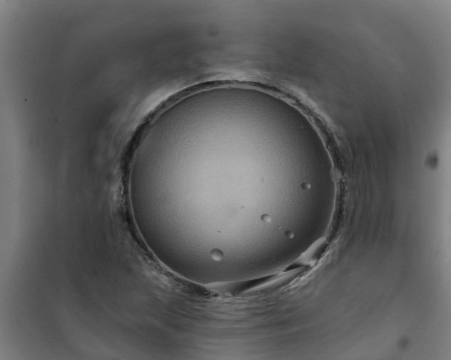 X0000101091215200807031718