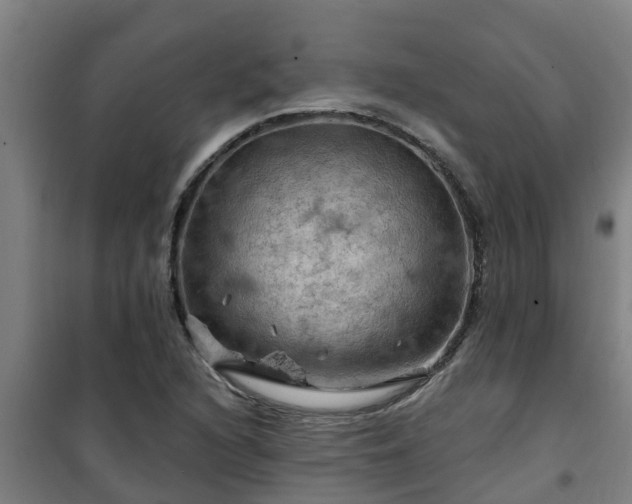 X0000101091216200807031718