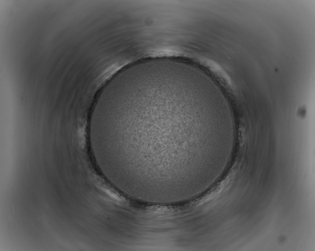 X0000101091217200807031718