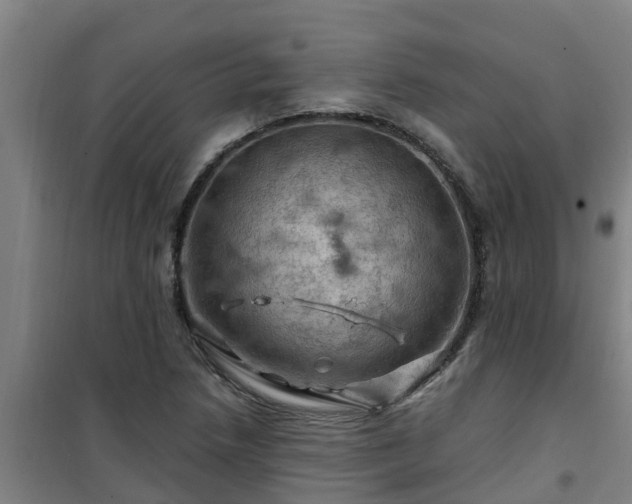 X0000101091218200807031718