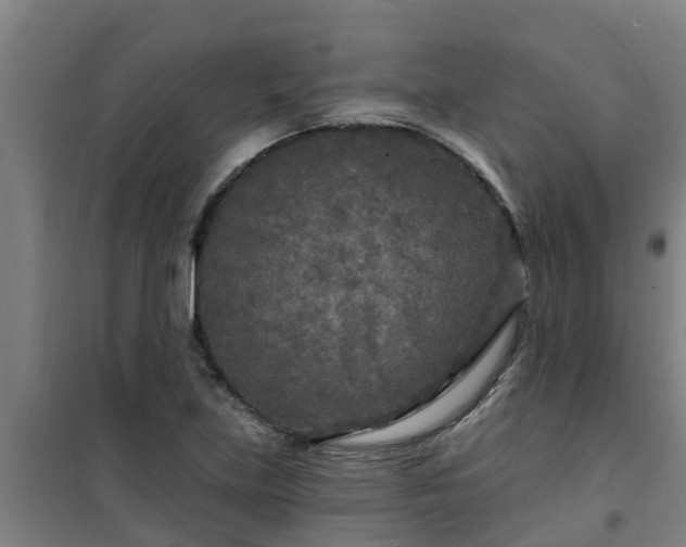 X0000101091219200807031718