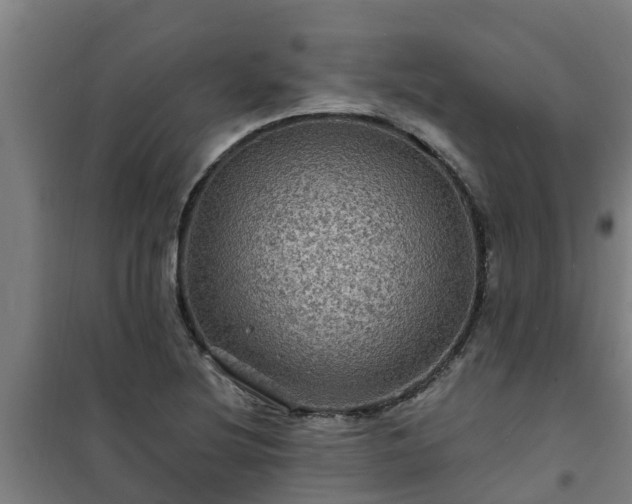 X0000101091220200807031718