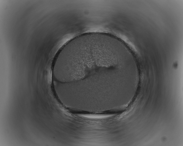 X0000101091221200807031718