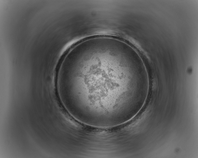 X0000101091222200807031718