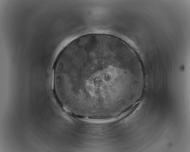 X0000101091223200807031718