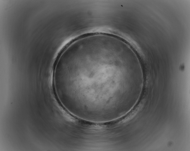 X0000101091224200807031718