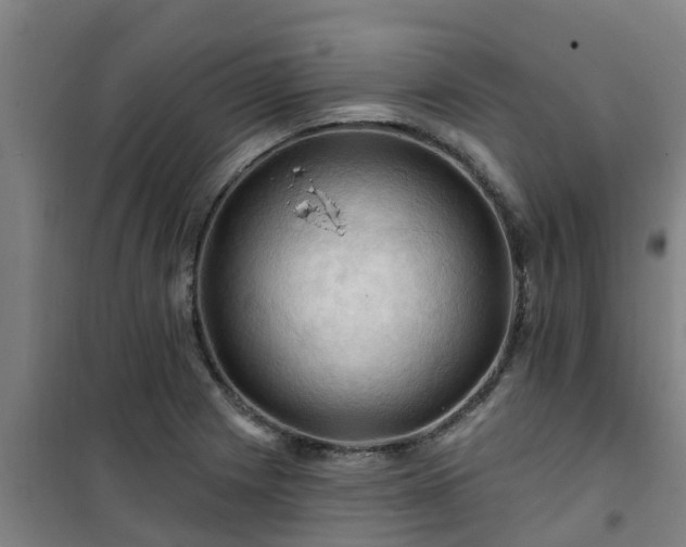 X0000101091225200807031718