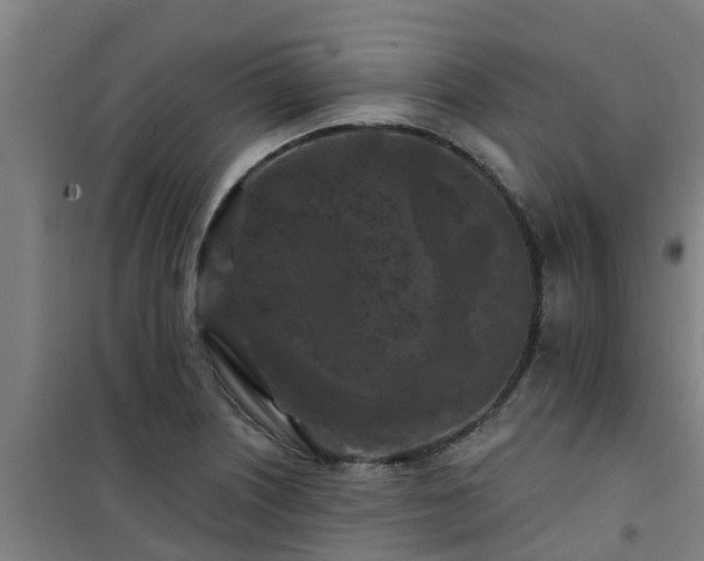 X0000101091226200807031718