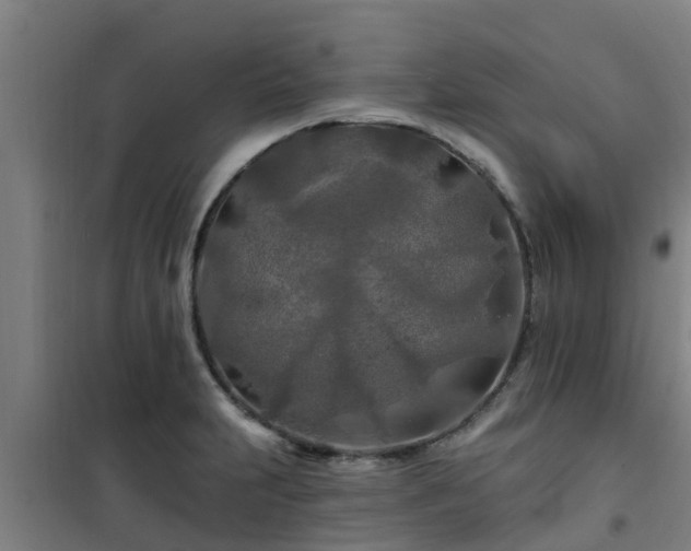 X0000101091231200807031719