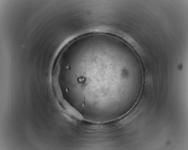 X0000101091232200807031719