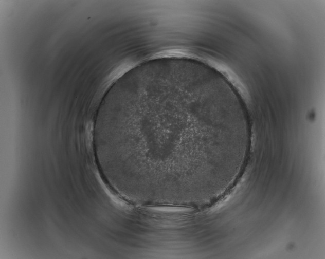 X0000101091233200807031719