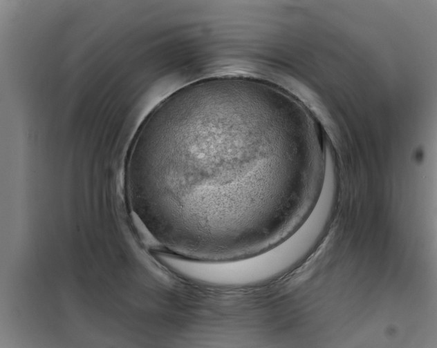 X0000101091234200807031719