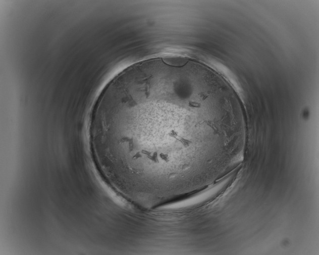 X0000101091235200807031719