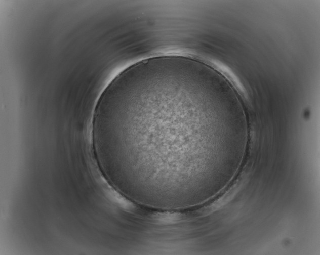 X0000101091236200807031719