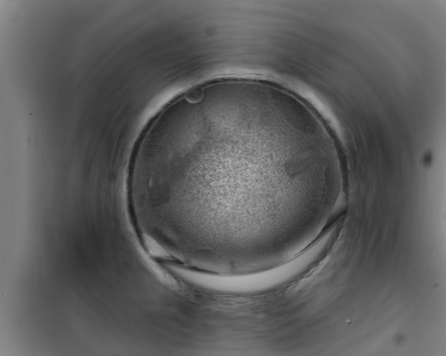 X0000101091237200807031719