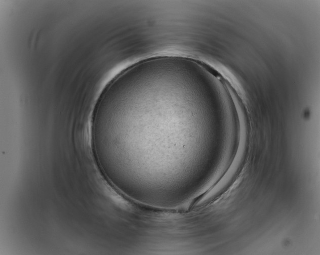 X0000101091238200807031719