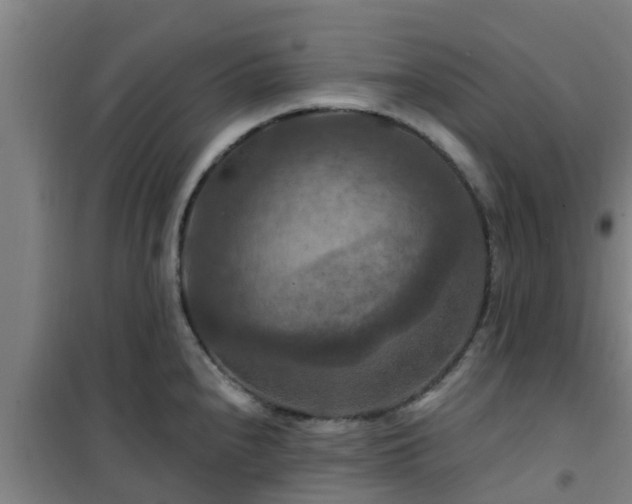 X0000101091240200807031719