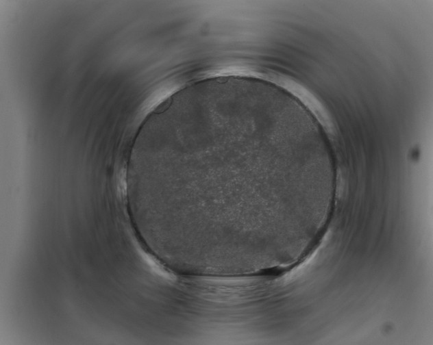 X0000101091241200807031719